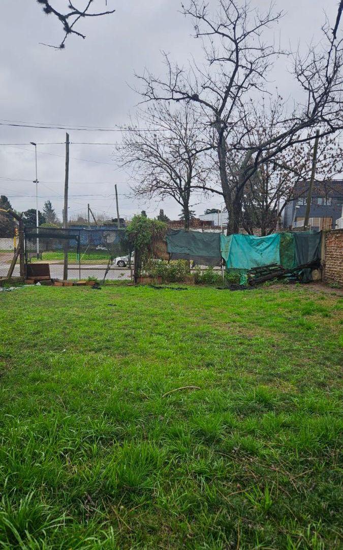 Foto de TERRENO DE 10 X 40 EN AV. VALETTE 1800, LUIS GUILLON, imagen 5