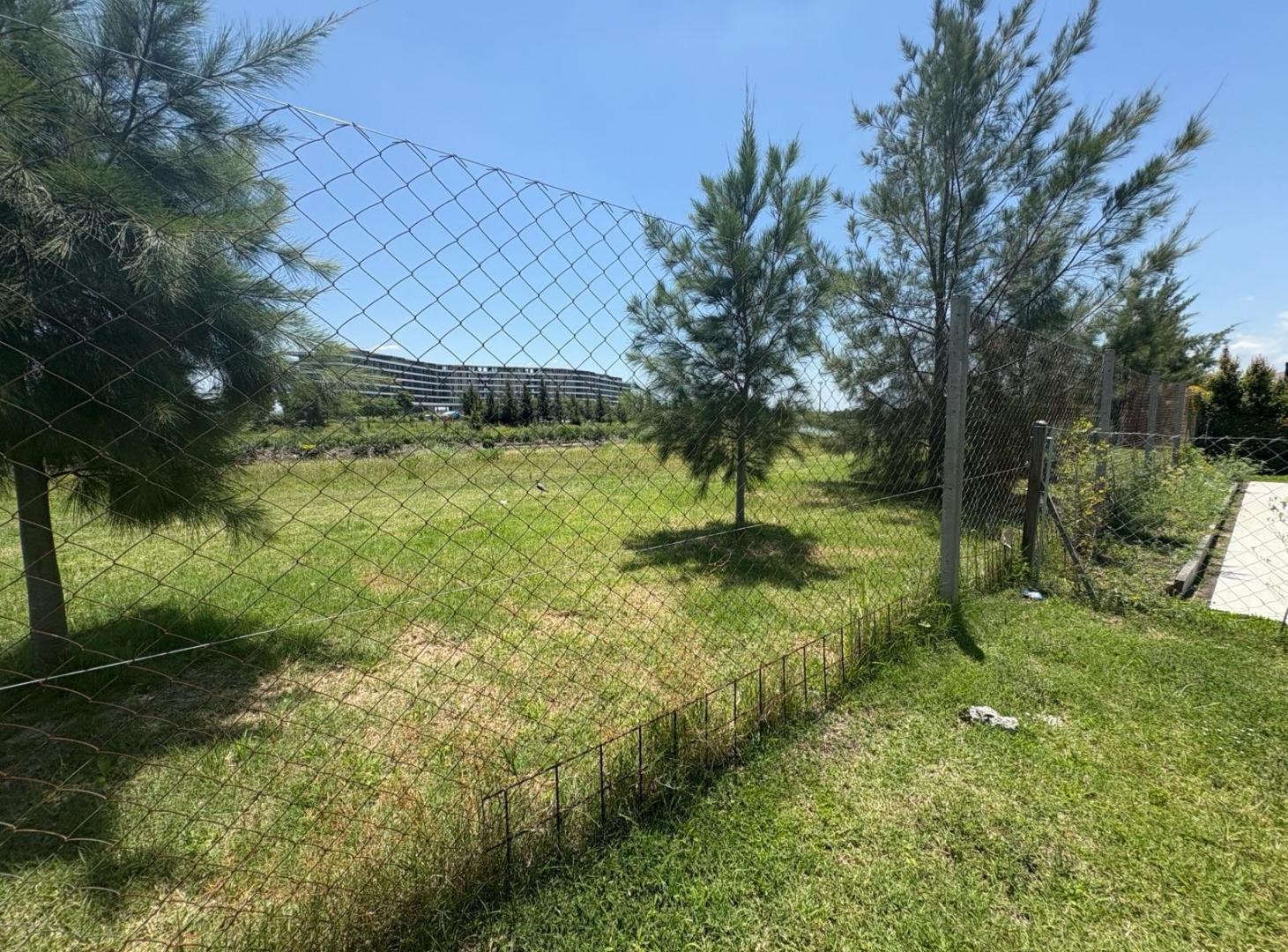 Foto de BARRIO CARPINCHOS/ LOTE INTERNO AL ARROYO EN VENTA, imagen 4