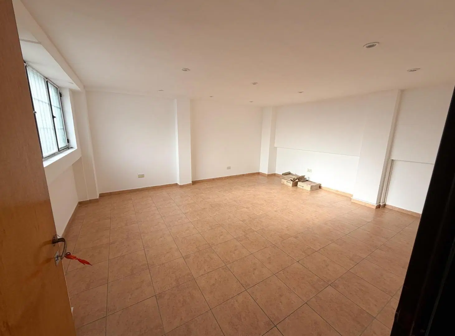 Local / Oficina en dos plantas | Apto profesional | Excelente visibilidad| Zona Plaza Alsina 5