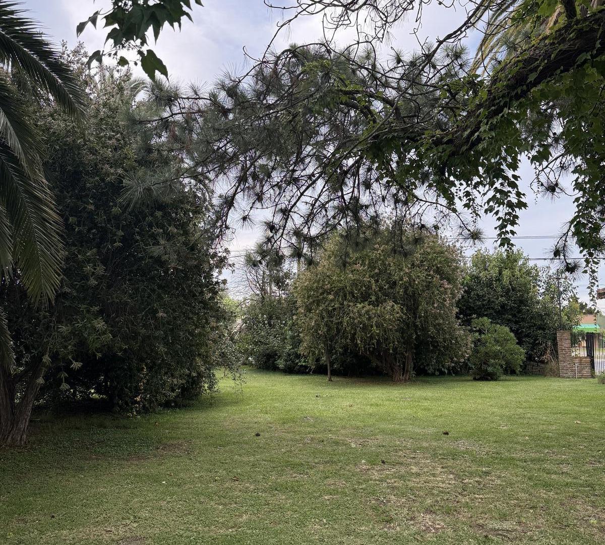 Foto de Lote 854 m² en Villa Elisa – 42 m de frente – Sobre Camino Centenario, imagen 2