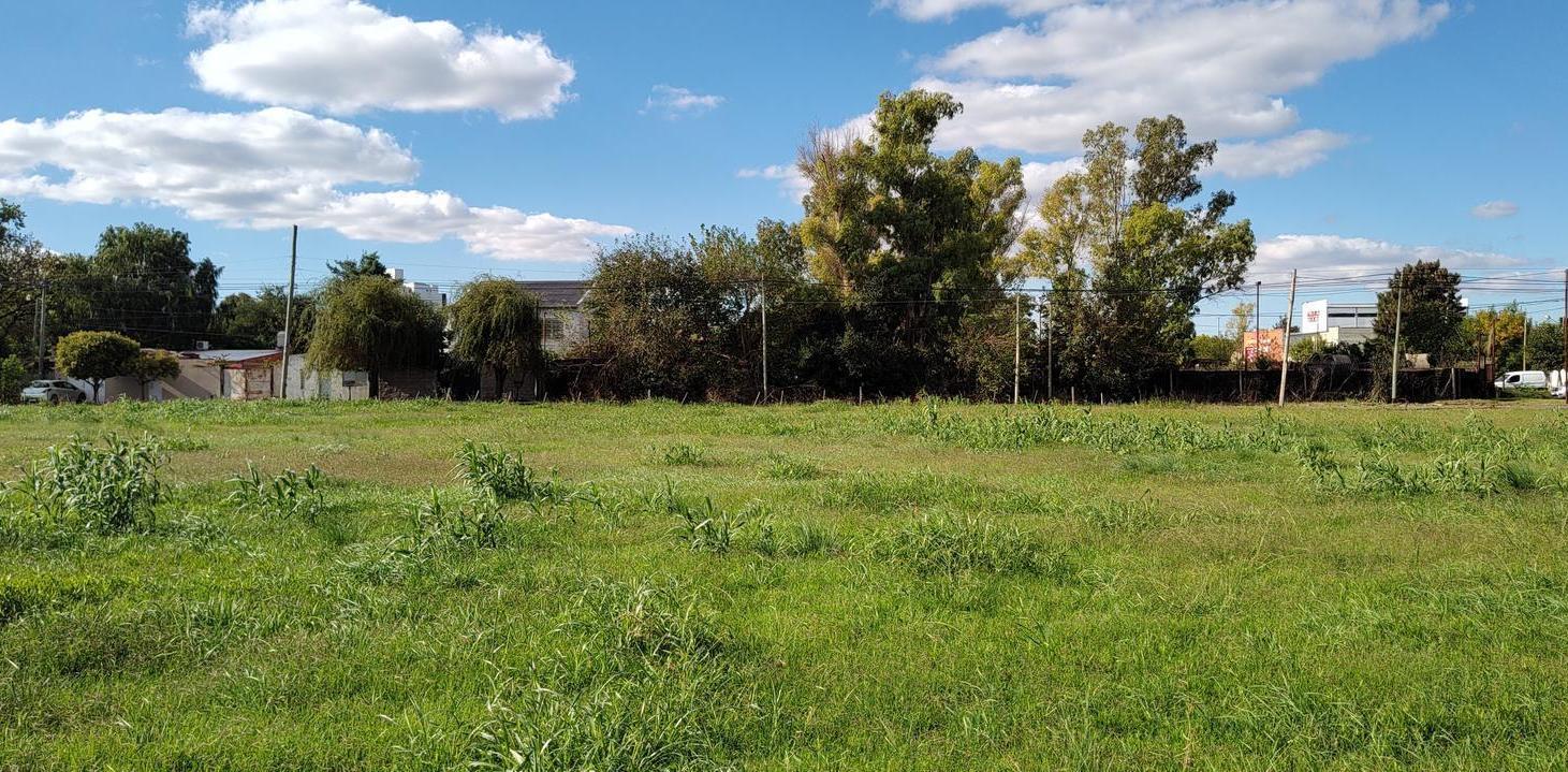 Foto de Lotes en San Carlos desde USD 20.000 | Escritura inmediata, imagen 2