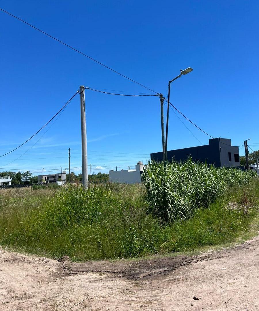 Foto de Lote en venta de 526 m² en esquina | Excelente potencial para construir, imagen 4