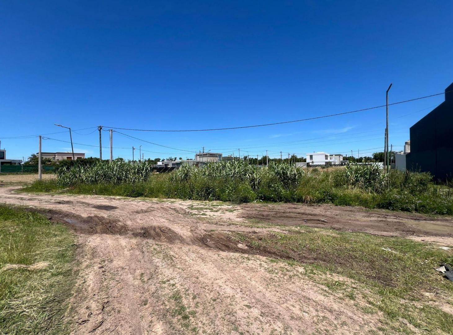 Foto de Lote en venta de 526 m² en esquina | Excelente potencial para construir, imagen 3