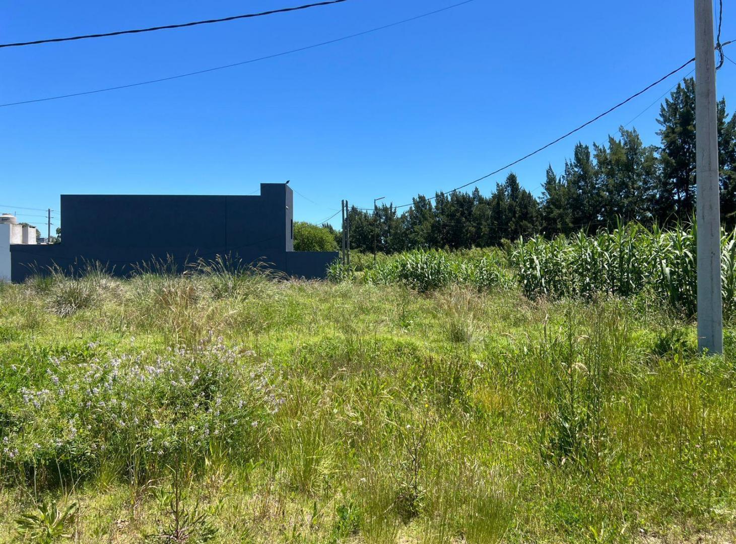 Foto de Lote en venta de 526 m² en esquina | Excelente potencial para construir, imagen 2