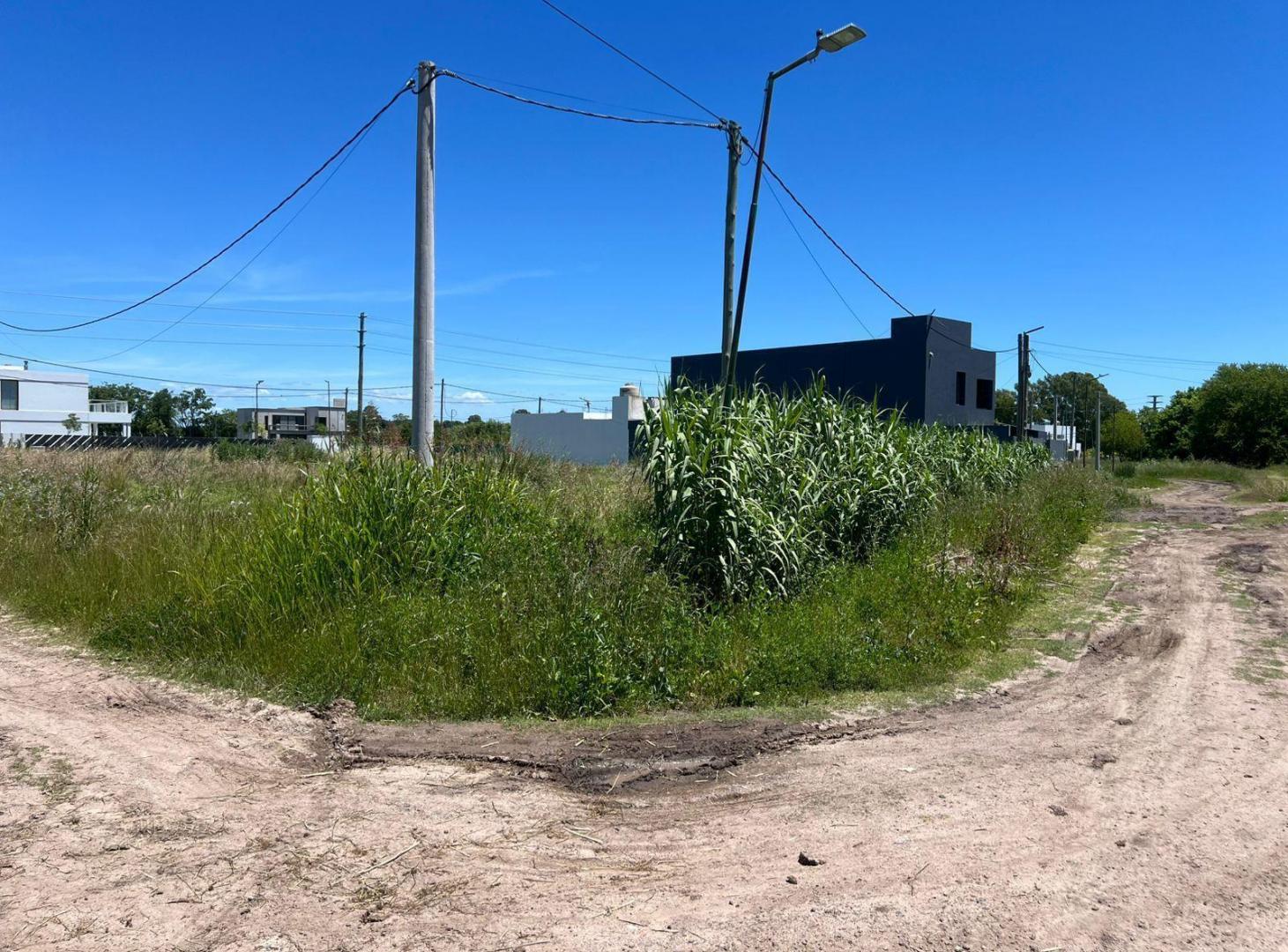 Foto de Lote en venta de 526 m² en esquina | Excelente potencial para construir, imagen 5