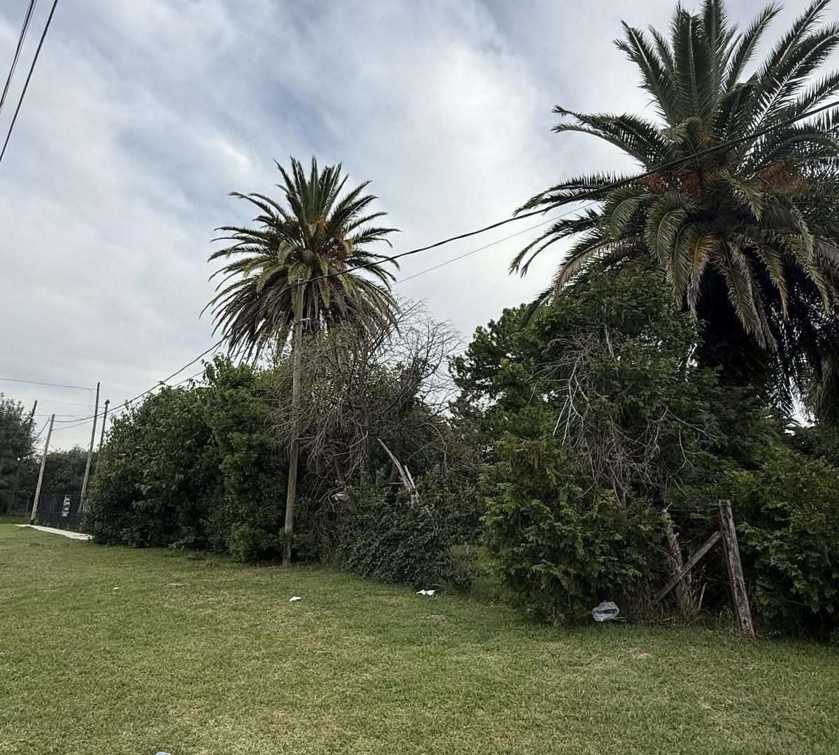 Foto de Lote 854 m² en Villa Elisa – 42 m de frente – Sobre Camino Centenario, imagen 2