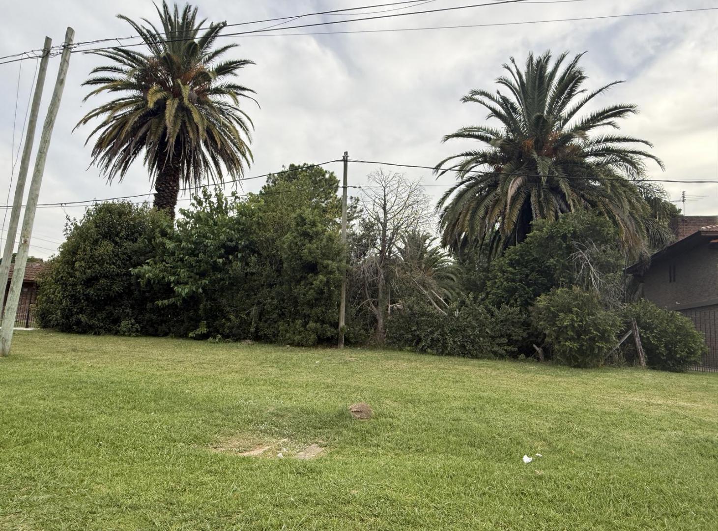 Foto de Lote 854 m² en Villa Elisa – 42 m de frente – Sobre Camino Centenario, imagen 1