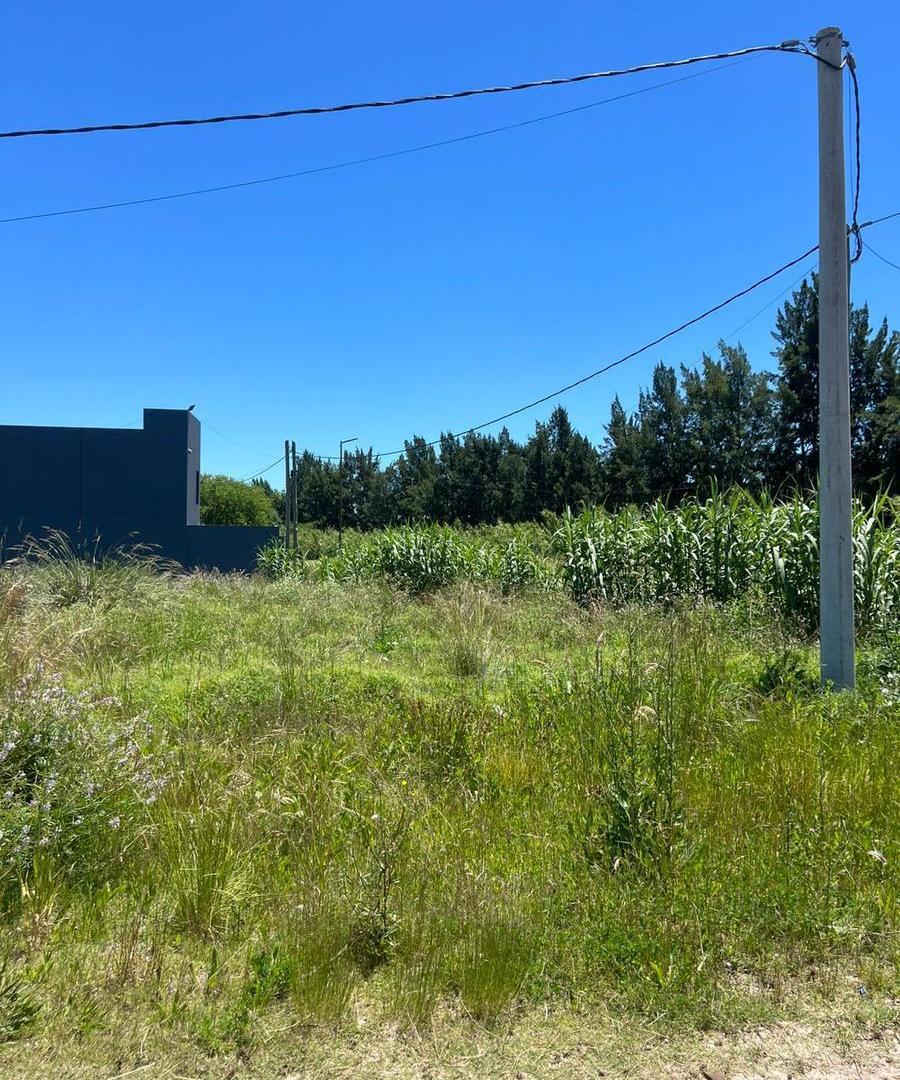 Foto de Lote en venta de 526 m² en esquina | Excelente potencial para construir, imagen 4