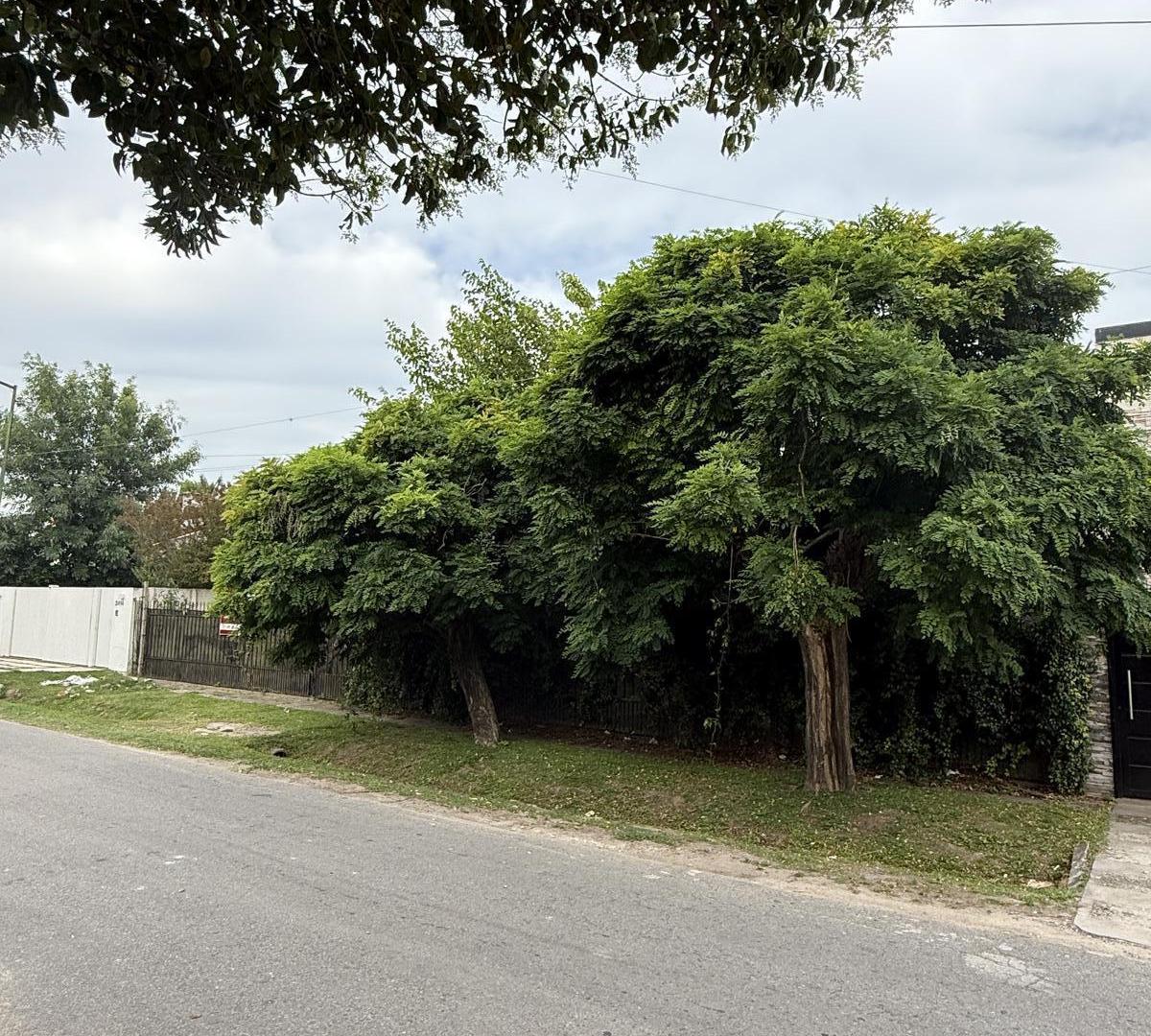 Foto de Lotes en City Bell entre caminos – 1000 m² totales – Ideal desarrollo, imagen 1