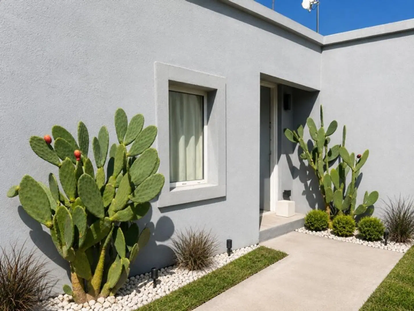 casa con jardin y parrilla 2