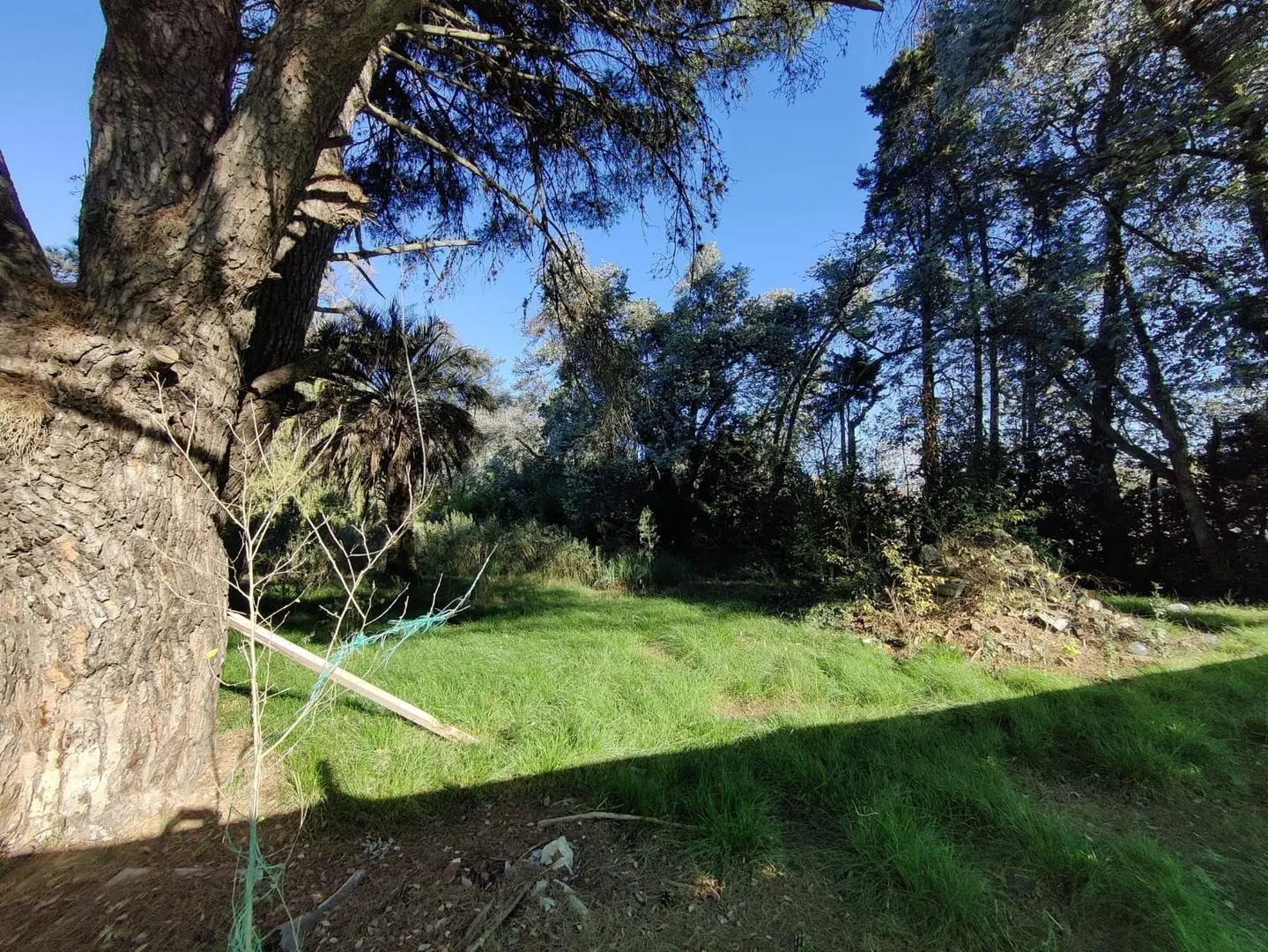 Terreno en venta La Lonja Pilar 4
