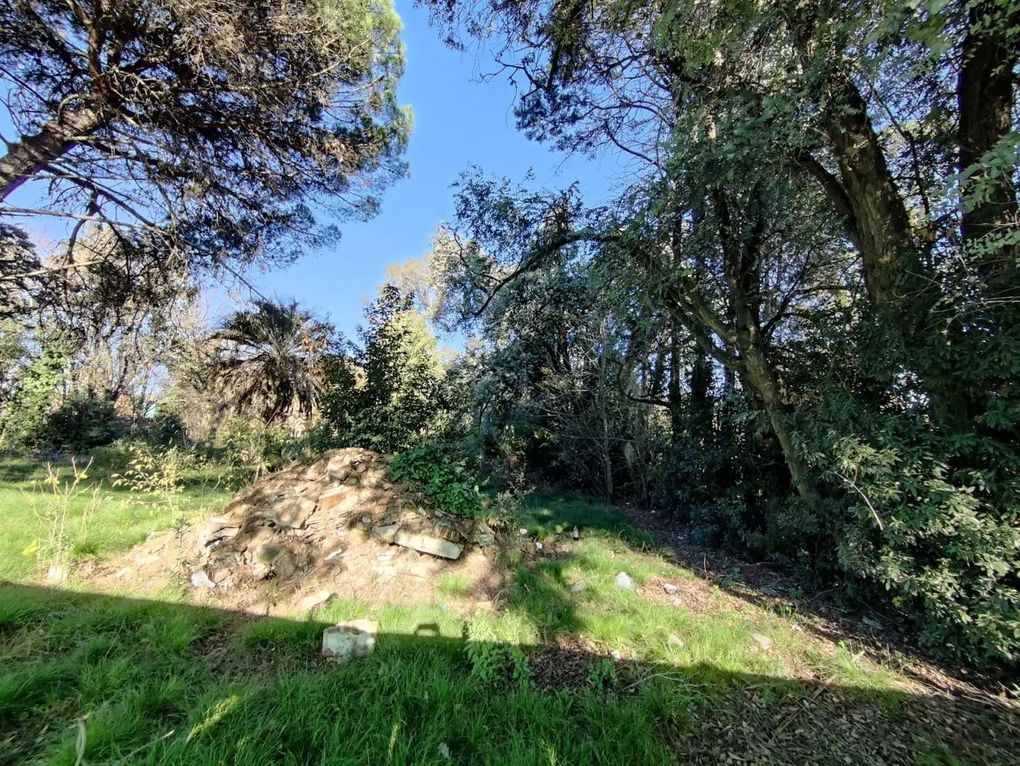 Terreno en venta La Lonja Pilar 2