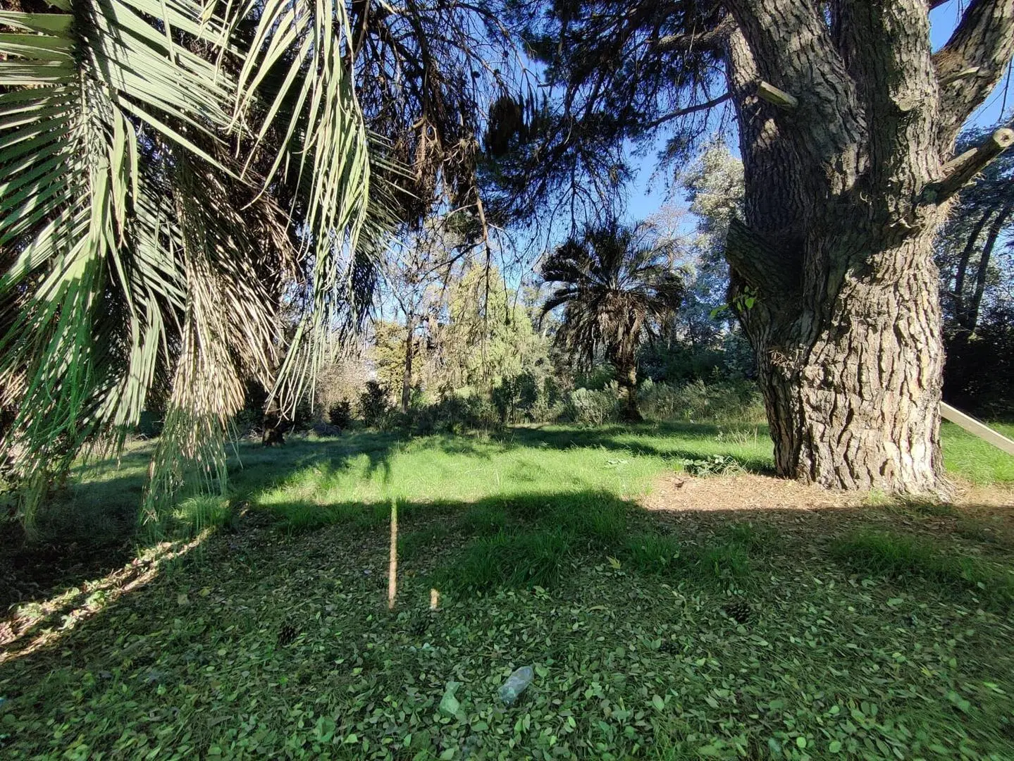 Terreno en venta La Lonja Pilar 5