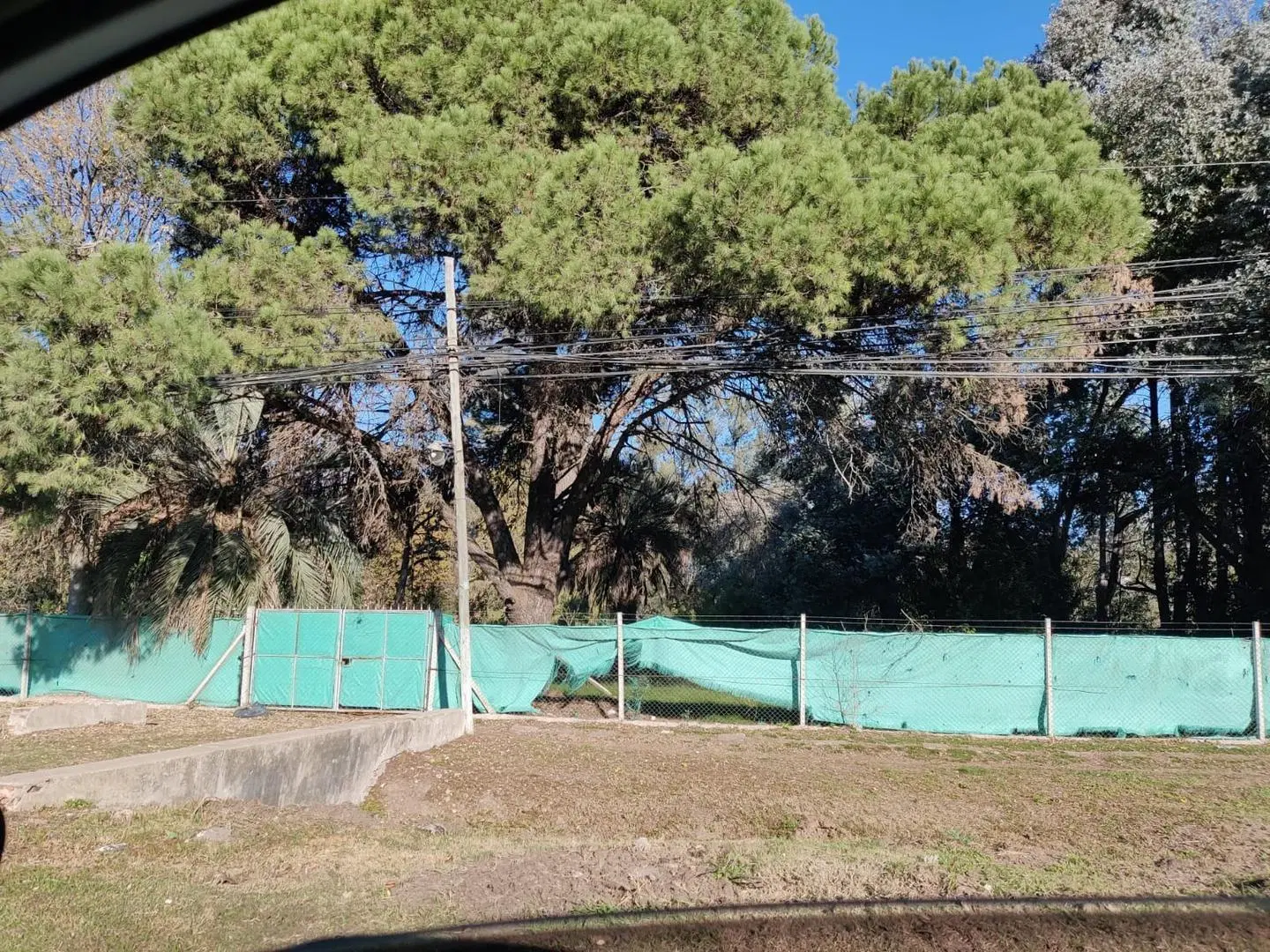 Terreno en venta La Lonja Pilar 3