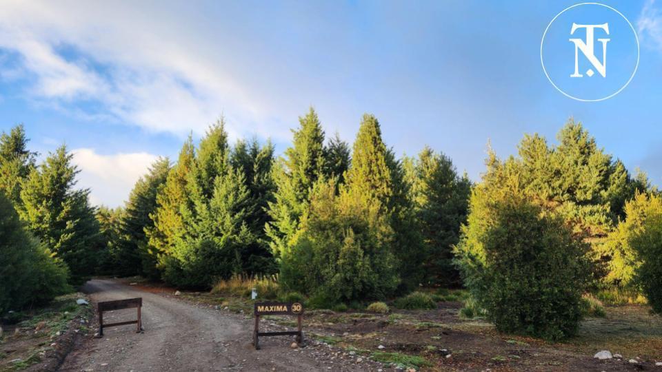 Terreno en Estancia Los Ñires