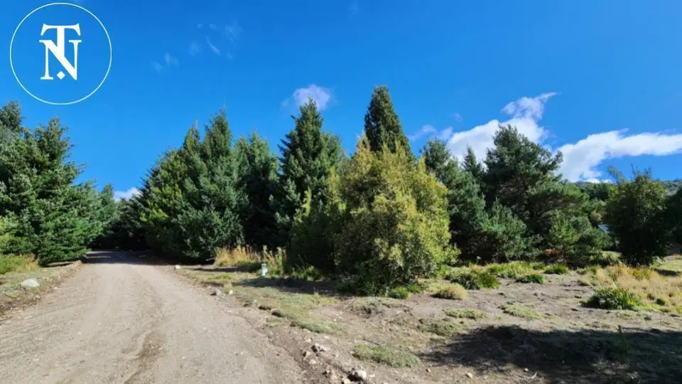 Terreno en Estancia Los Ñires 2
