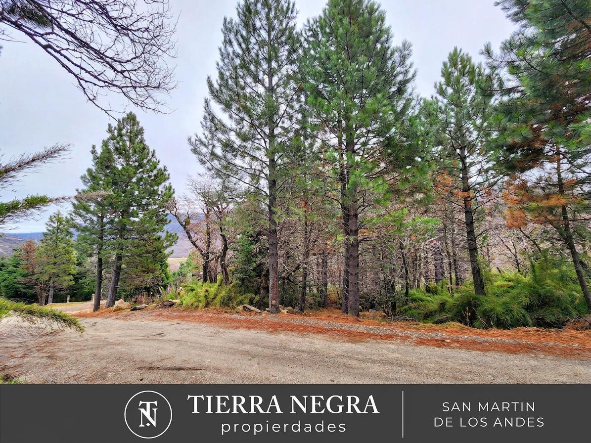 Terreno en San Martin De Los Andes