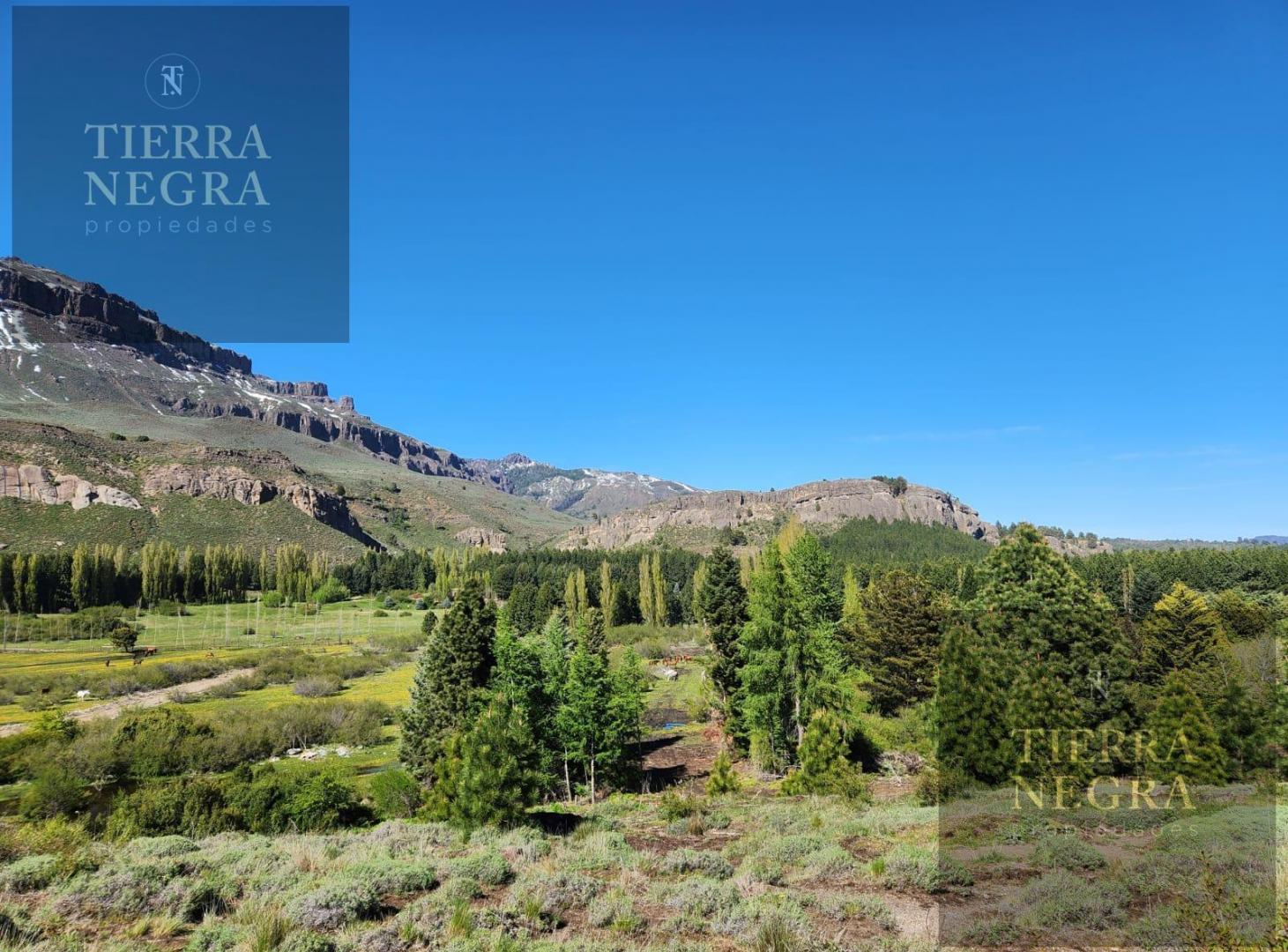 Foto de Terreno de 300 m2 en Valle Chapelco, imagen 5