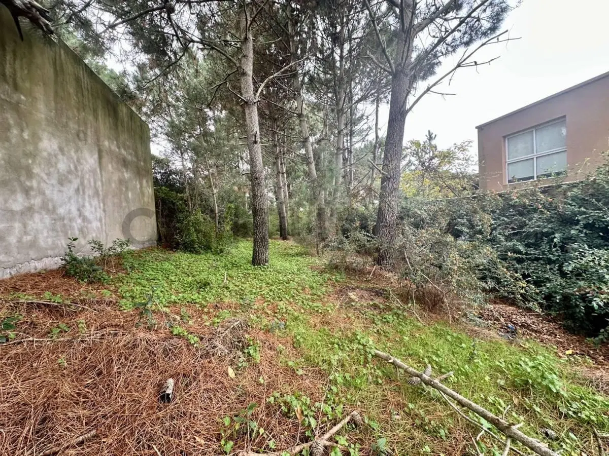 Venta de lote en Ostende 5