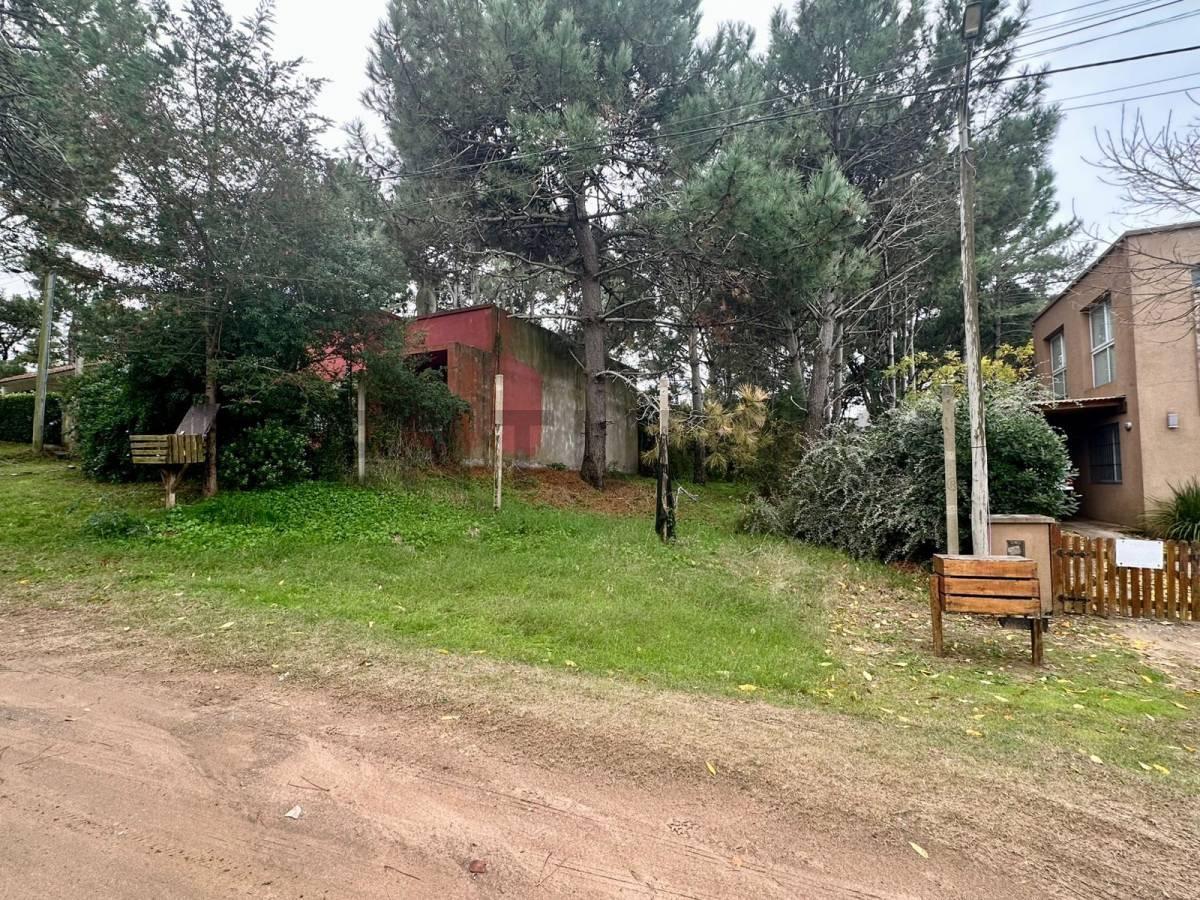 Foto de Venta de lote en Ostende, imagen 2