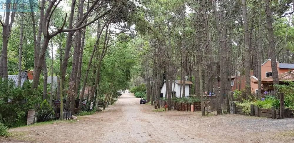 Venta Complejo de 4 departamentos Mar Azul Las Gaviotas 5