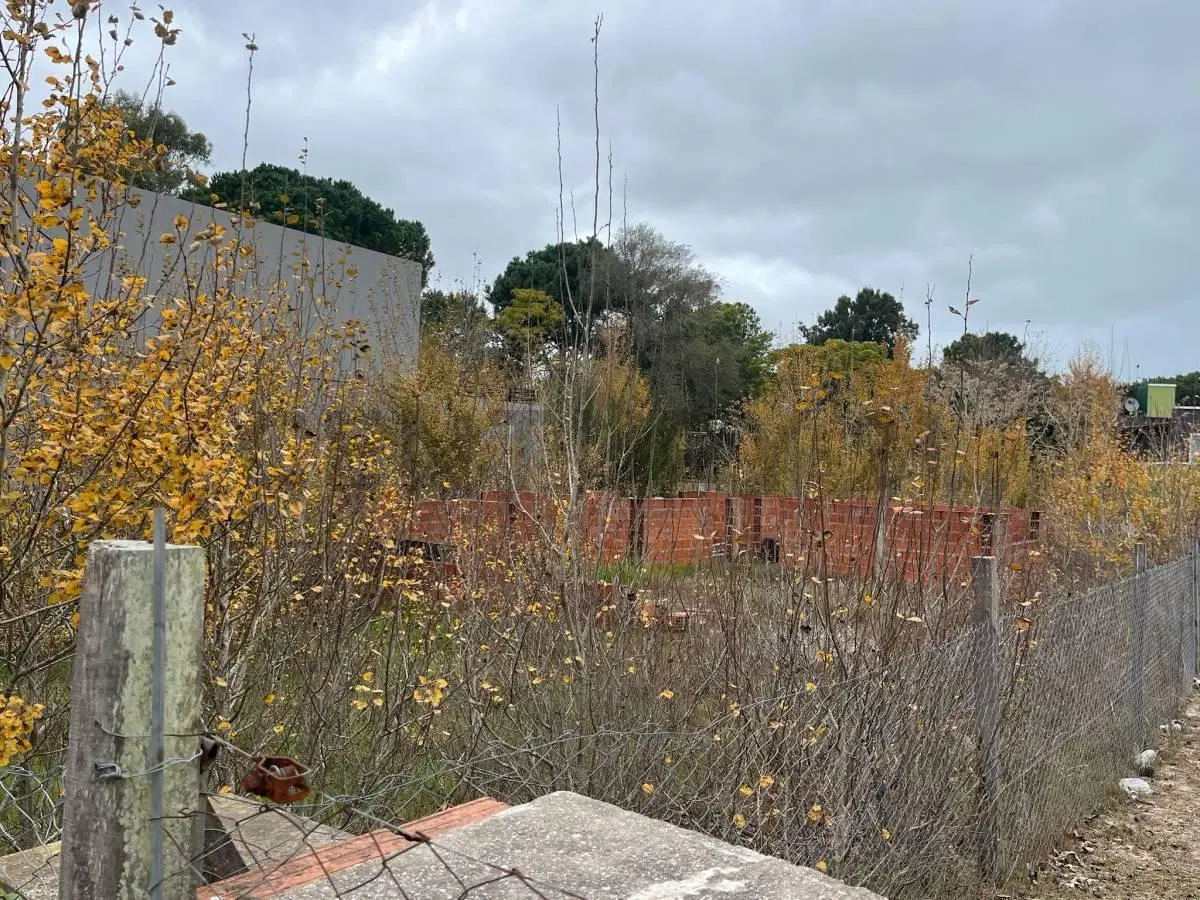 Venta Lote sobre Avenida Paris Ostende Pinamar 2