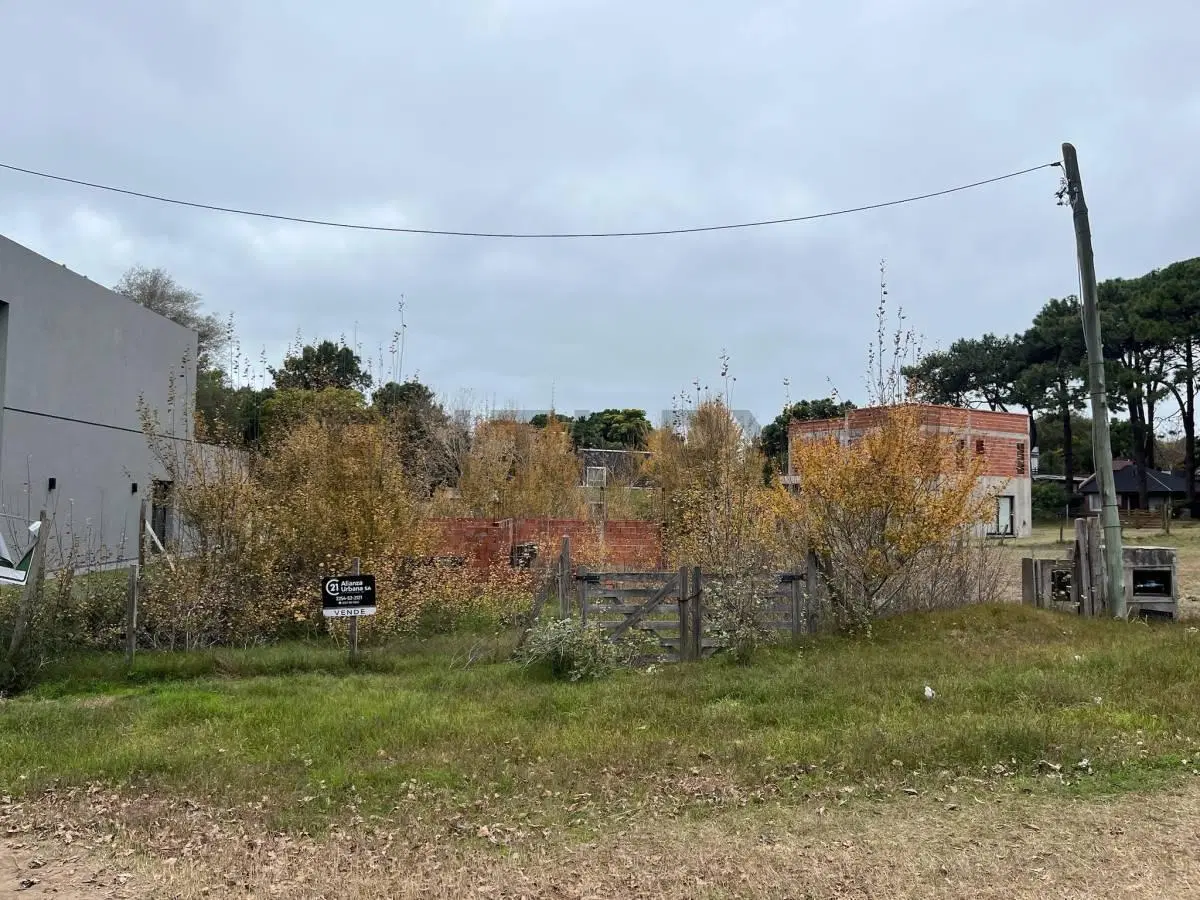 Venta Lote sobre Avenida Paris Ostende Pinamar 5