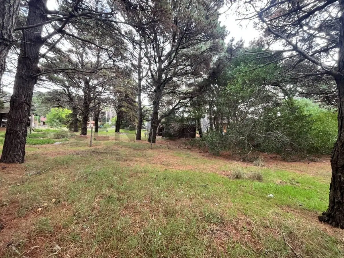 Lote en Nueva Atlantis 3