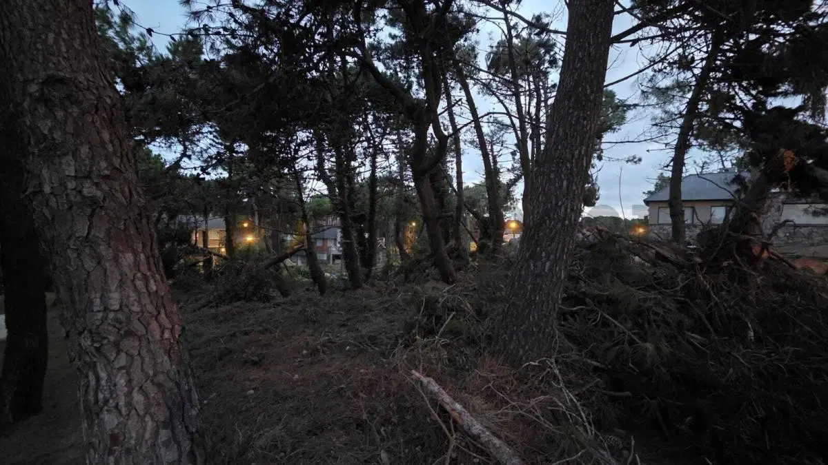 Lote en venta arbolado en Pinamar Norte a 100 metros del mar 5