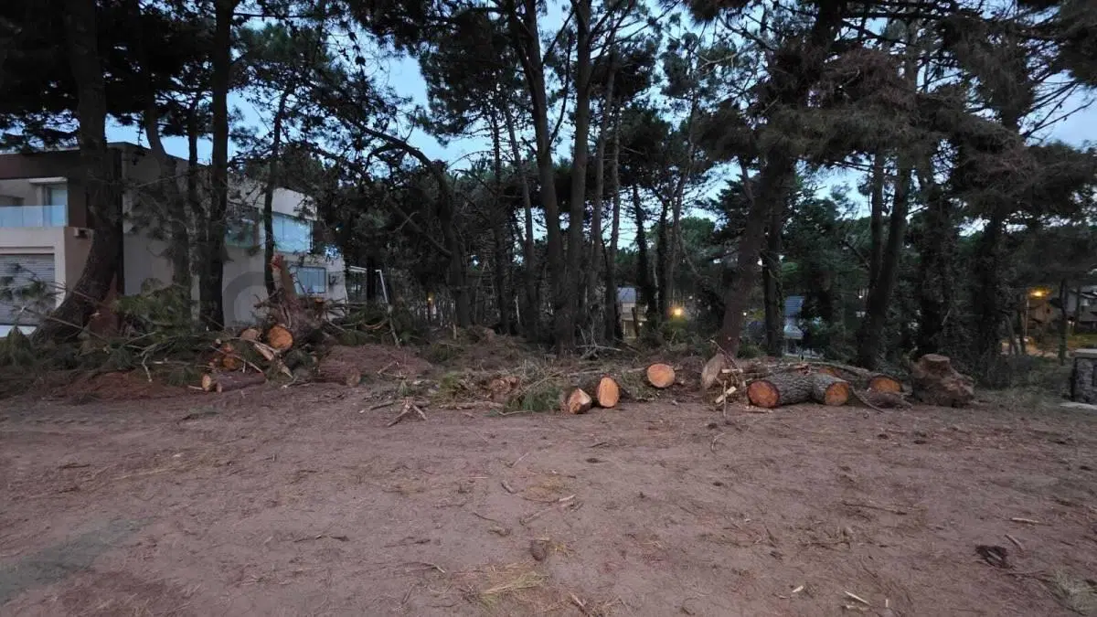 Lote en venta arbolado en Pinamar Norte a 100 metros del mar 3
