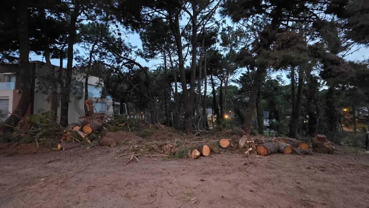 Lote en venta arbolado en Pinamar Norte a 100 metros del mar 2