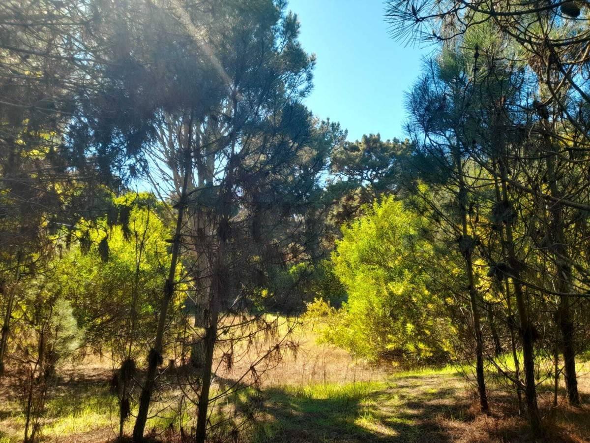 Foto de VENTA LOTE LAS GAVIOTAS FRENTE A MAR DE LAS PAMPAS COSTA ATLANTICA, imagen 4