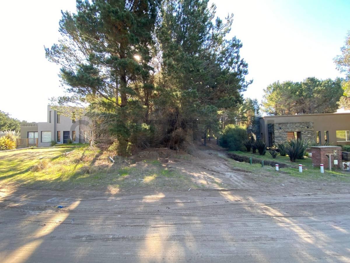 Foto de PERMUTA DE LOTE COSTA ESMERALDA, imagen 5