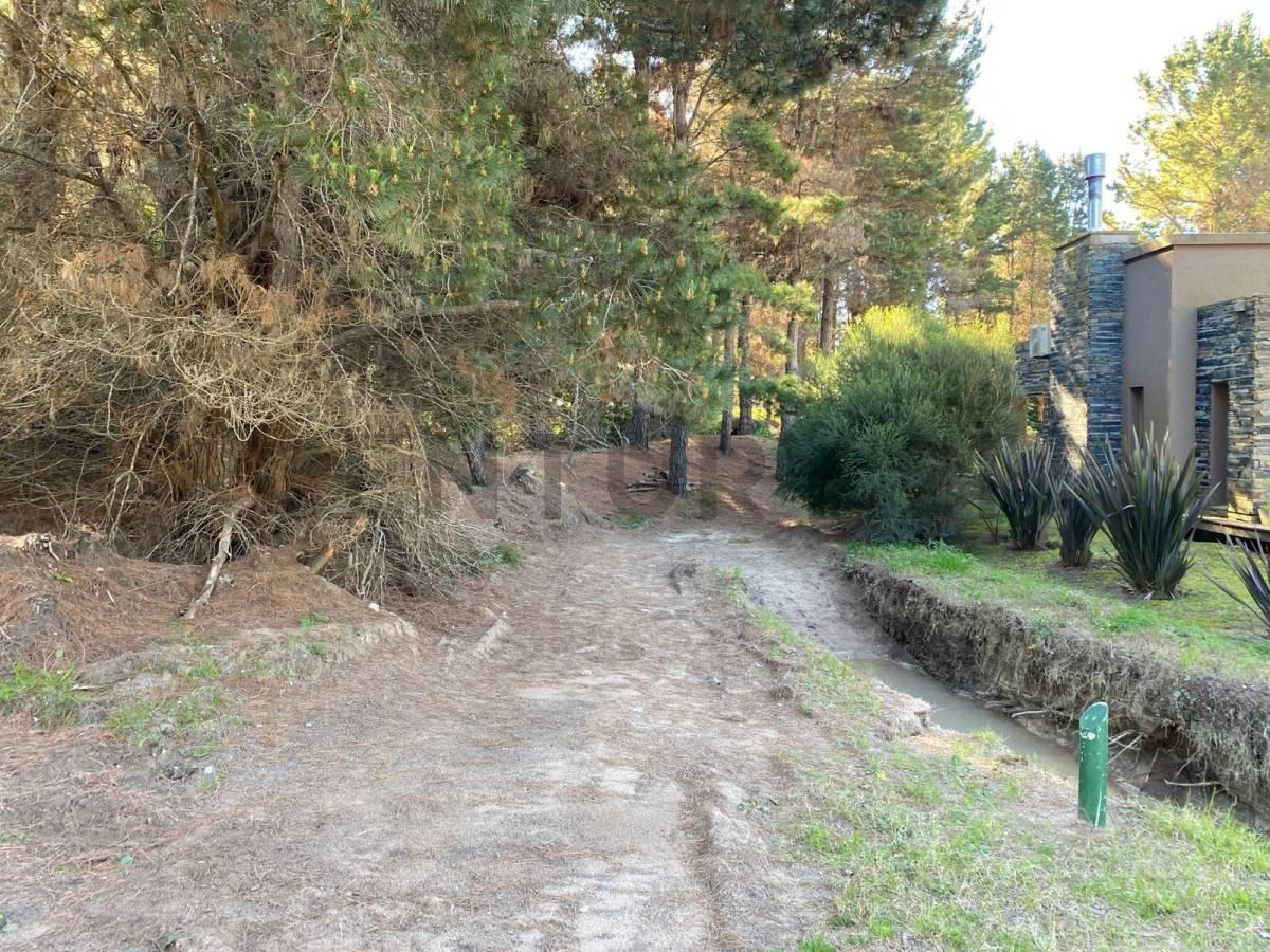 Foto de PERMUTA DE LOTE COSTA ESMERALDA, imagen 1