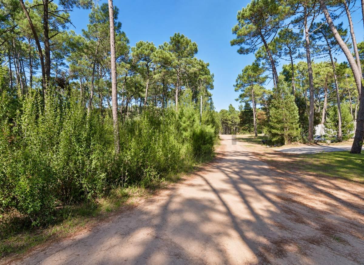 Foto de VENTA LOTE TERRENO CARILO PINAMAR OPORTUNIDAD PERMUTA FINANCIAMIENTO, imagen 3