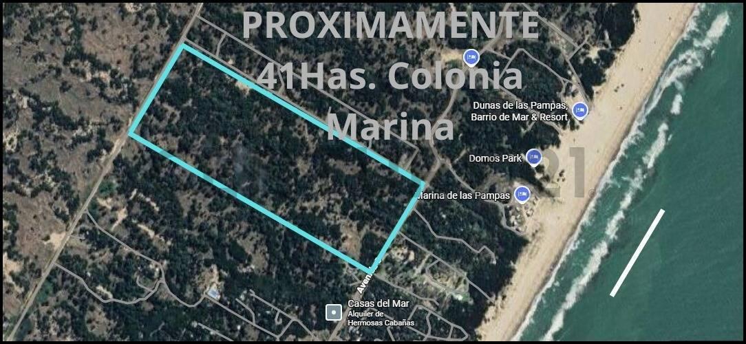 Foto de Lotes Multifamiliares en Colonia Marina, imagen 3