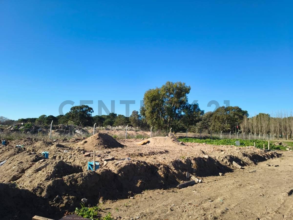 Foto de VENTA DE GALPON, imagen 5