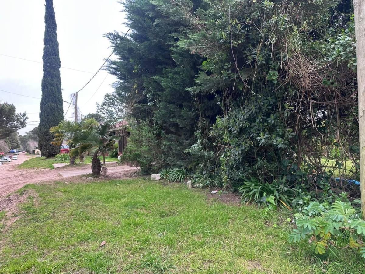 Foto de VENTA TERRENO UNIFAMILIAR OSTENDE, imagen 4