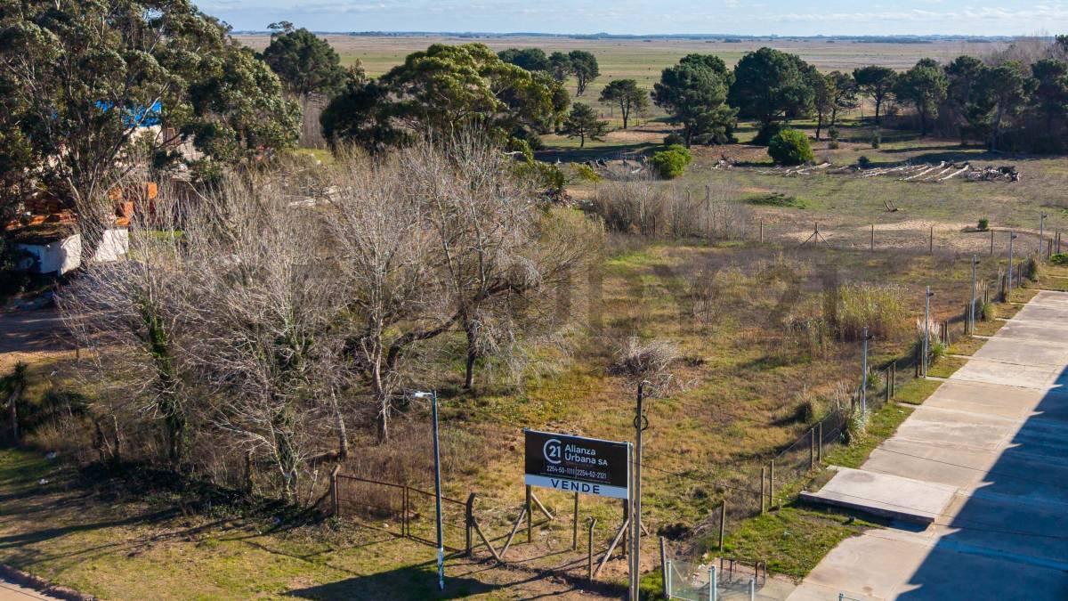Foto de VENTA LOTE FRENTE RUTA 11 GENERAL MADARIAGA, imagen 4
