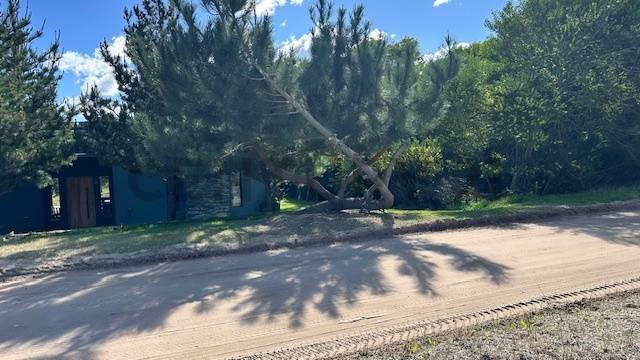 Foto de VENTA LOTE SENDERO II COSTA ESMERALDA, imagen 5