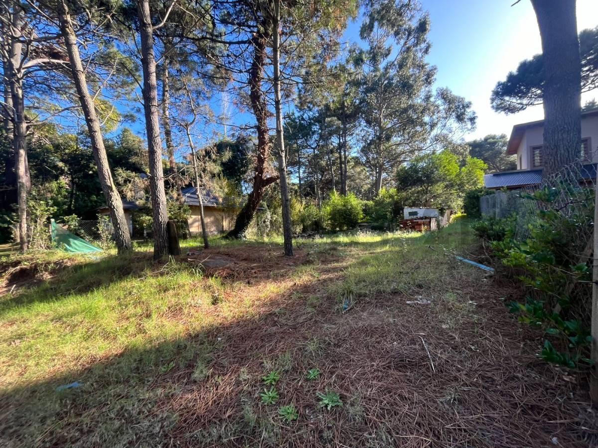 Foto de LOTE EN VALERIA DEL MAR, imagen 3