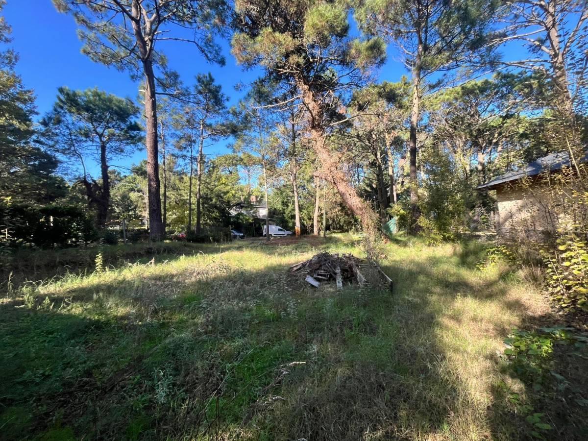 Foto de LOTE EN VALERIA DEL MAR, imagen 2