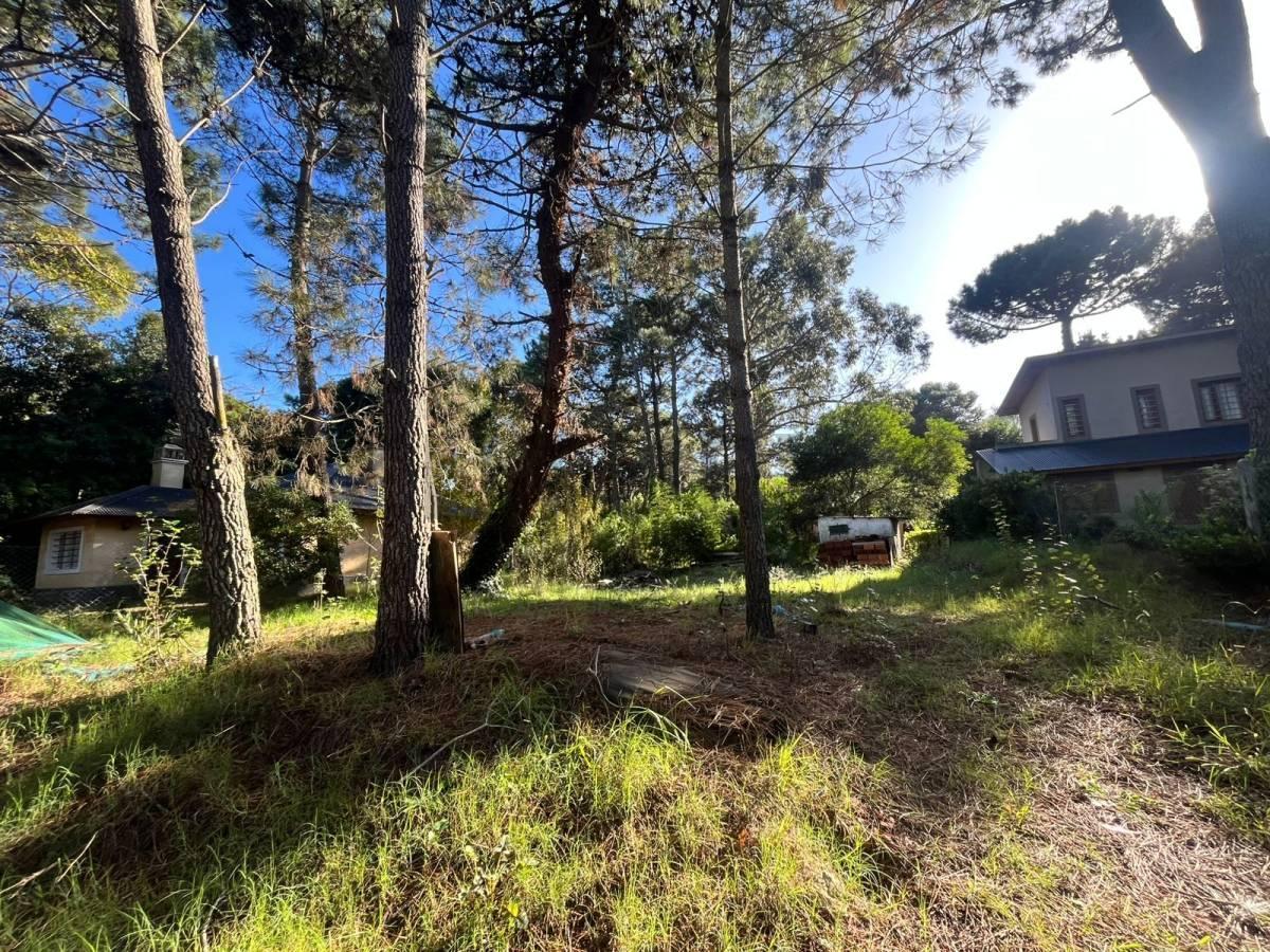 Foto de LOTE EN VALERIA DEL MAR, imagen 5