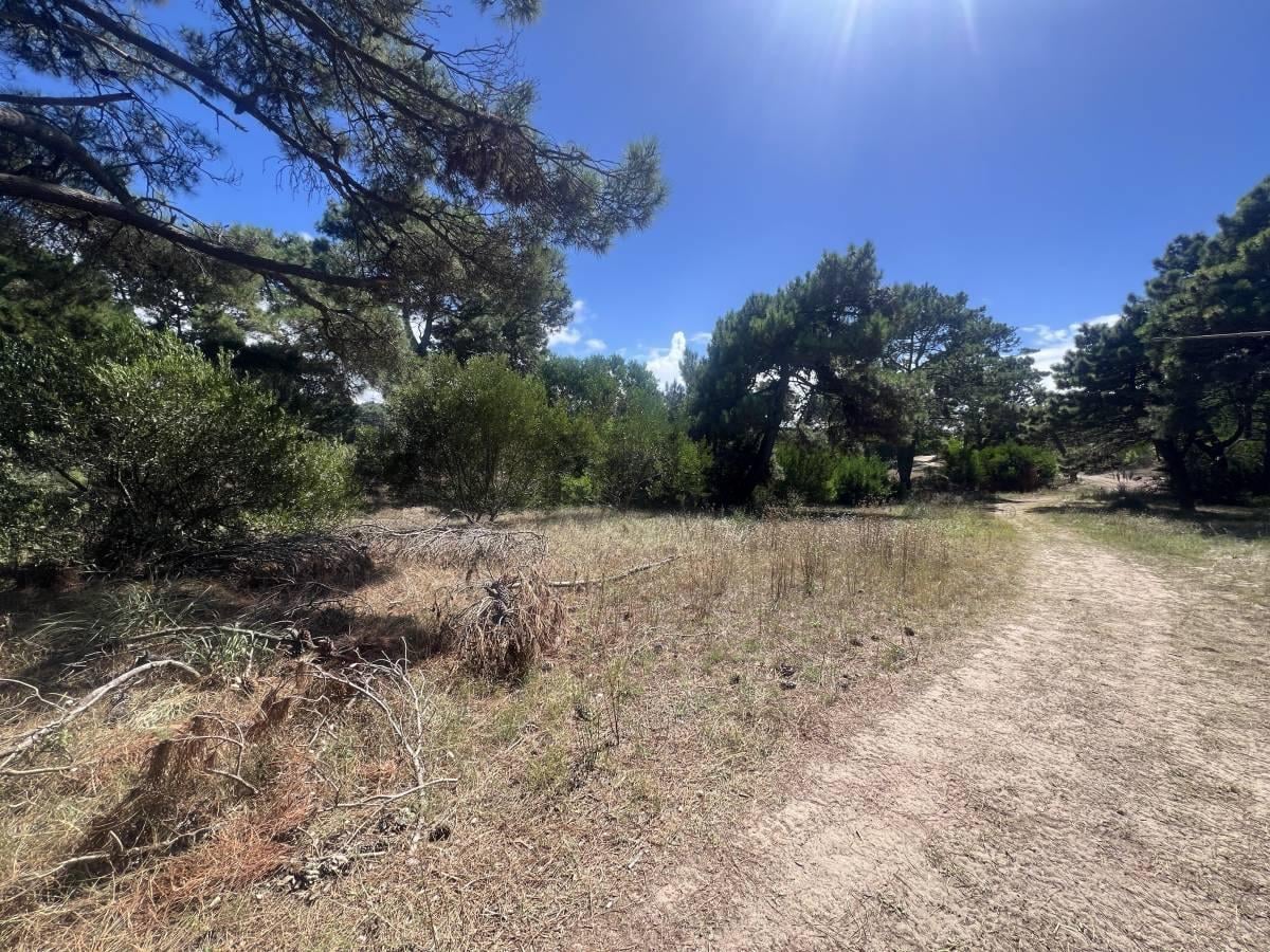 Foto de Lote en VENTA en Villa Gesell a metros del mar - Colonia Marina LOTE 1A, imagen 2