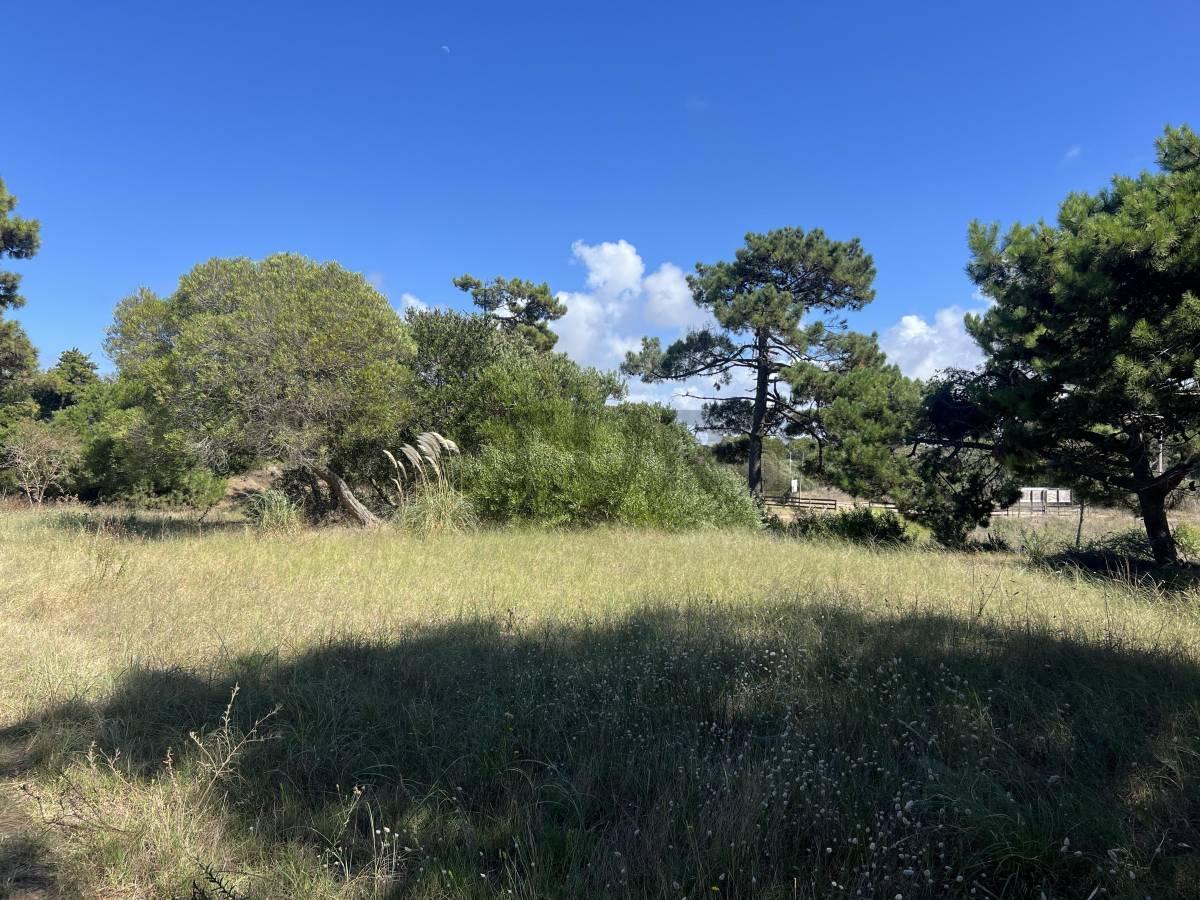 Foto de Lote en VENTA en Villa Gesell a metros del mar - Colonia Marina LOTE 1A, imagen 5