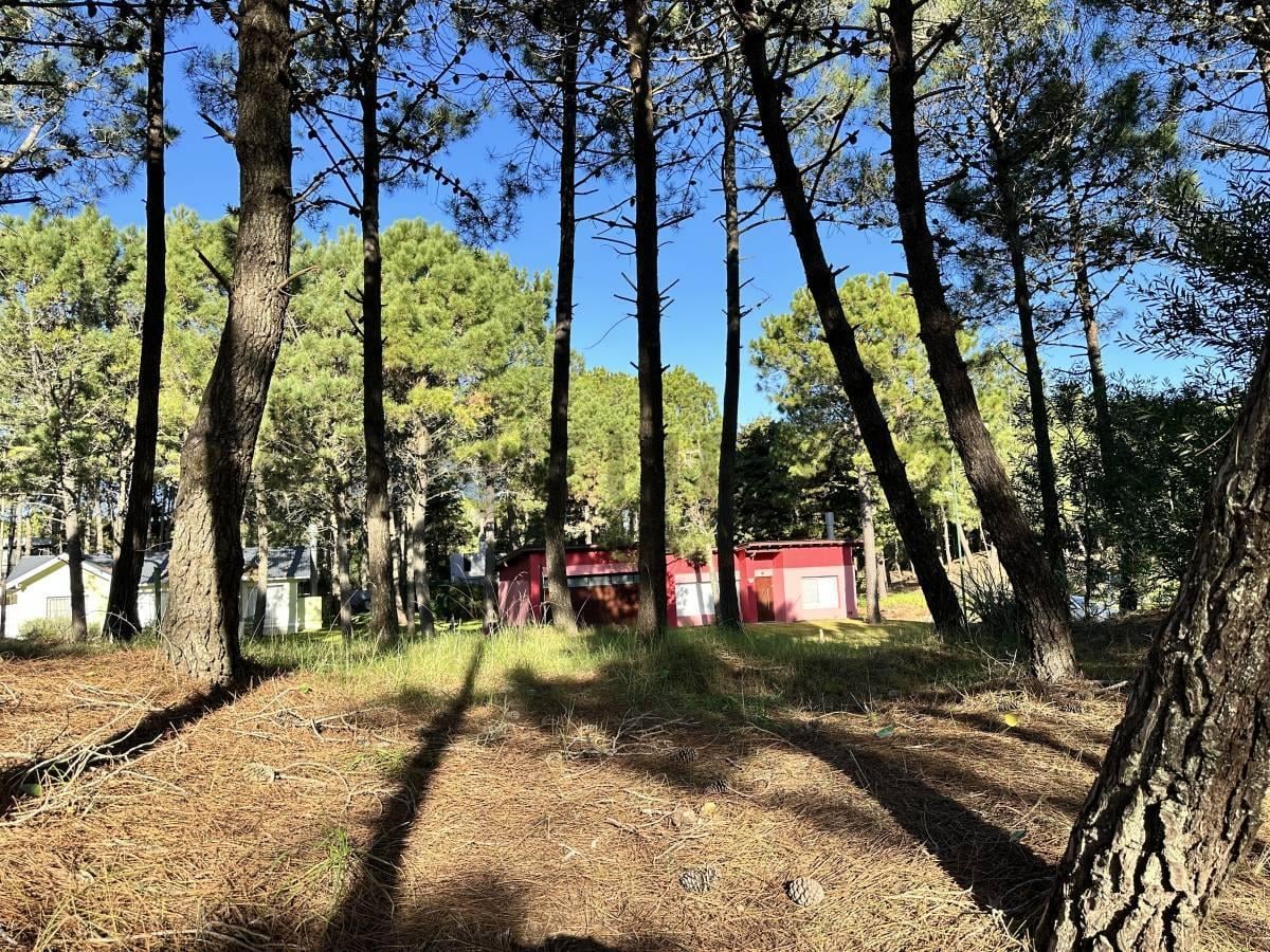Foto de Venta Lote en Pinamar Norte - Costa Atlantica, imagen 1