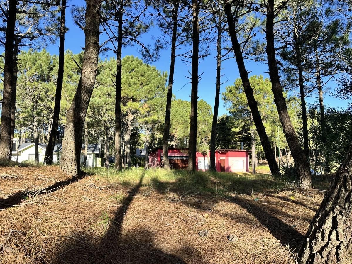 Foto de Venta Lote en Pinamar Norte - Costa Atlantica, imagen 2
