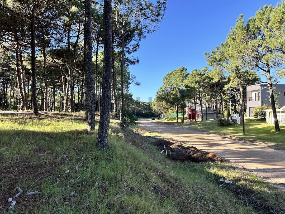 Foto de Venta Lote en Pinamar Norte - Costa Atlantica, imagen 3