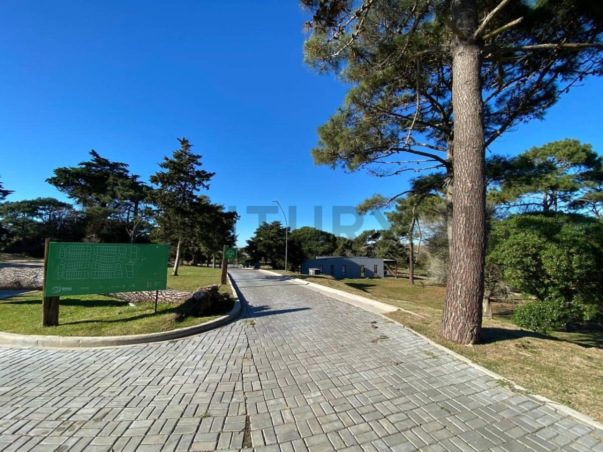 Foto de LOTE EN VENTA DE 400 m2 EN BARRIO PRIVADO LEMU, imagen 4