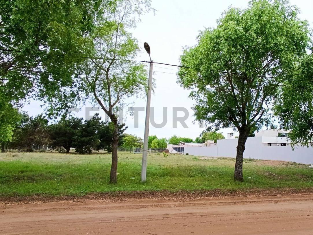 Foto de Lote en Venta Barrio Nuevo San Rafael - Mar de Ajo, imagen 4